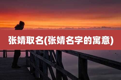 张婧取名(张婧名字的寓意)