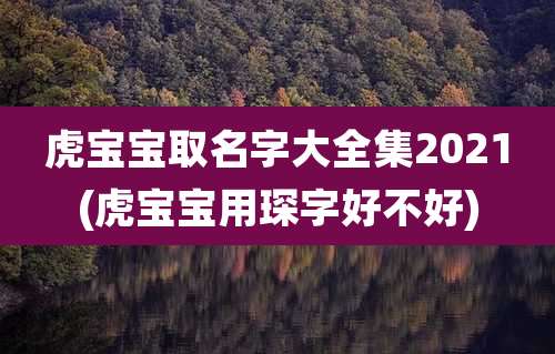 虎宝宝取名字大全集2021(虎宝宝用琛字好不好)