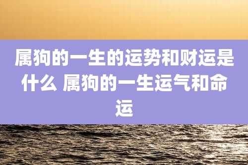 属狗的一生的运势和财运是什么 属狗的一生运气和命运