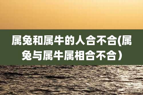 属兔和属牛的人合不合(属兔与属牛属相合不合）