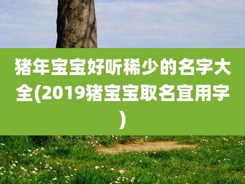 猪年宝宝好听稀少的名字大全(2019猪宝宝取名宜用字)