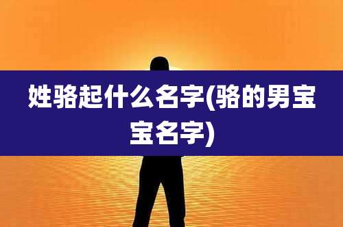 姓骆起什么名字(骆的男宝宝名字)