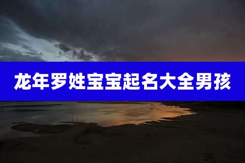 龙年罗姓宝宝起名大全男孩