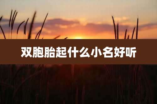 双胞胎起什么小名好听
