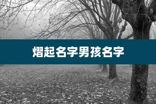 熠起名字男孩名字