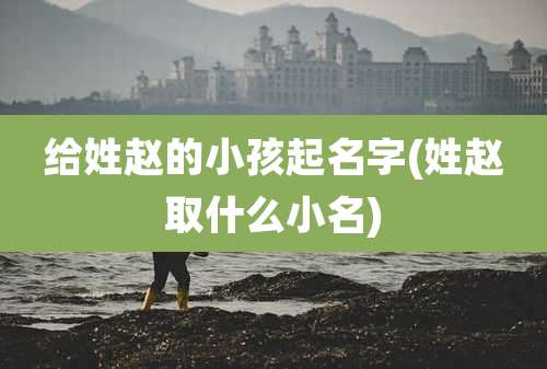 给姓赵的小孩起名字(姓赵取什么小名)