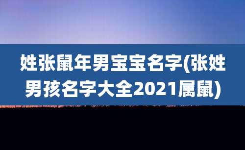姓张鼠年男宝宝名字(张姓男孩名字大全2021属鼠)