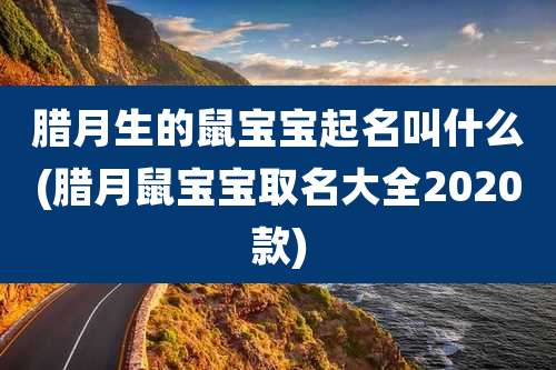 腊月生的鼠宝宝起名叫什么(腊月鼠宝宝取名大全2020款)