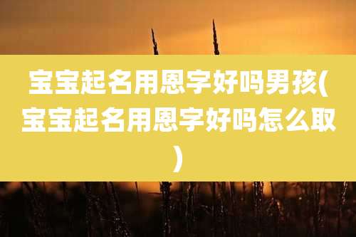 宝宝起名用恩字好吗男孩(宝宝起名用恩字好吗怎么取)