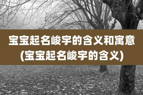 宝宝起名峻宇的含义和寓意(宝宝起名峻宇的含义)