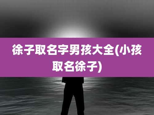 徐子取名字男孩大全(小孩取名徐子)
