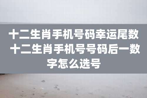 十二生肖手机号码幸运尾数 十二生肖手机号号码后一数字怎么选号