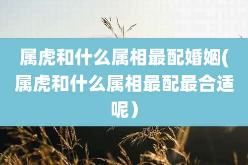 属虎和什么属相最配婚姻(属虎和什么属相最配最合适呢)