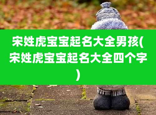 宋姓虎宝宝起名大全男孩(宋姓虎宝宝起名大全四个字)