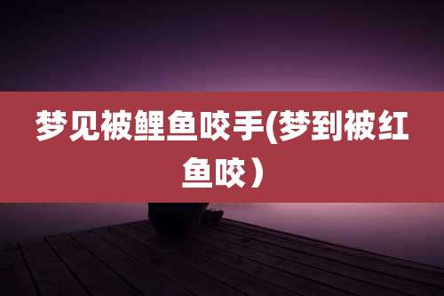 梦见被鲤鱼咬手(梦到被红鱼咬)