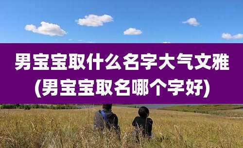 男宝宝取什么名字大气文雅(男宝宝取名哪个字好)
