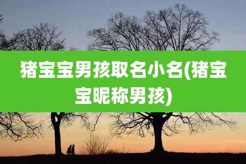 猪宝宝男孩取名小名(猪宝宝昵称男孩)