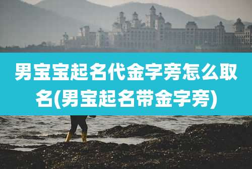 男宝宝起名代金字旁怎么取名(男宝起名带金字旁)