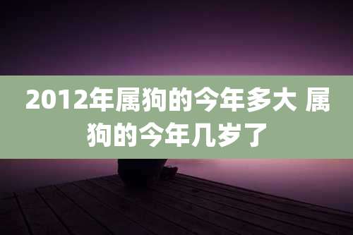 2012年属狗的今年多大 属狗的今年几岁了