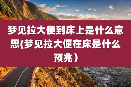 梦见拉大便到床上是什么意思(梦见拉大便在床是什么预兆)