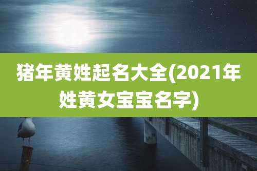 猪年黄姓起名大全(2021年姓黄女宝宝名字)