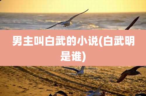 男主叫白武的小说(白武明是谁)