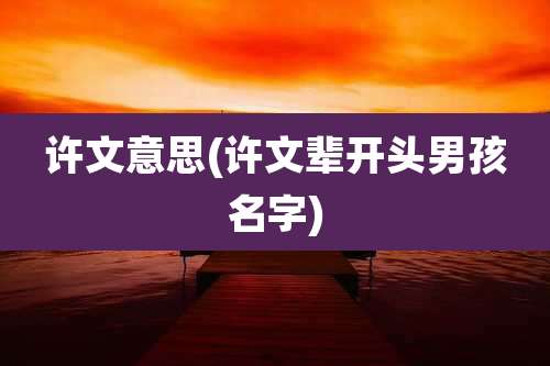 许文意思(许文辈开头男孩名字)