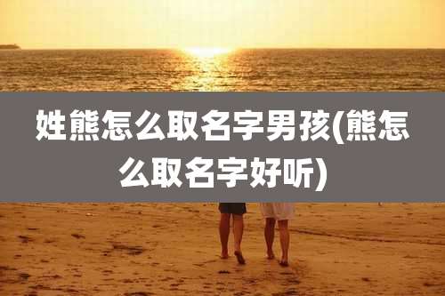 姓熊怎么取名字男孩(熊怎么取名字好听)