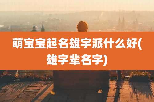 萌宝宝起名雄字派什么好(雄字辈名字)