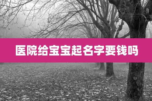 医院给宝宝起名字要钱吗