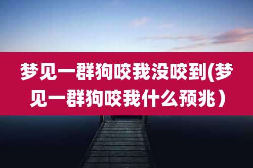 梦见一群狗咬我没咬到(梦见一群狗咬我什么预兆)