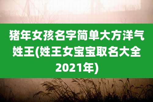 猪年女孩名字简单大方洋气姓王(姓王女宝宝取名大全2021年)