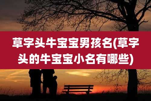 草字头牛宝宝男孩名(草字头的牛宝宝小名有哪些)
