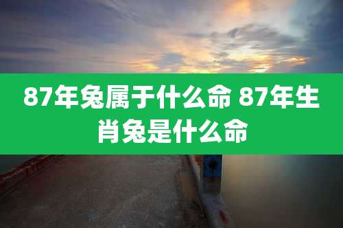 87年兔属于什么命 87年生肖兔是什么命