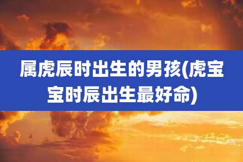 属虎辰时出生的男孩(虎宝宝时辰出生最好命)