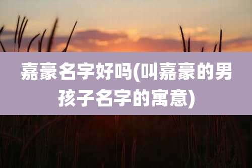 嘉豪名字好吗(叫嘉豪的男孩子名字的寓意)