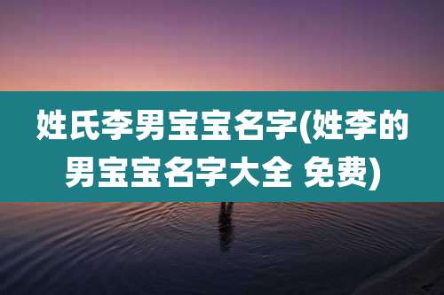 姓氏李男宝宝名字(姓李的男宝宝名字大全 免费)