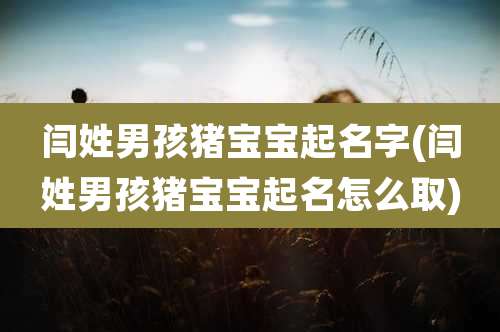 闫姓男孩猪宝宝起名字(闫姓男孩猪宝宝起名怎么取)