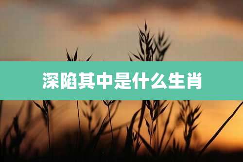 深陷其中是什么生肖