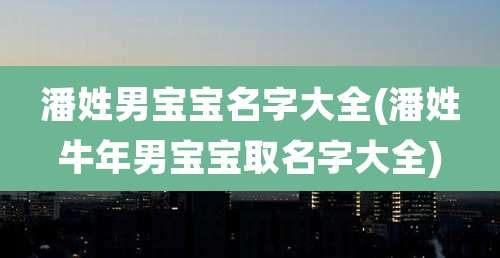 潘姓男宝宝名字大全(潘姓牛年男宝宝取名字大全)