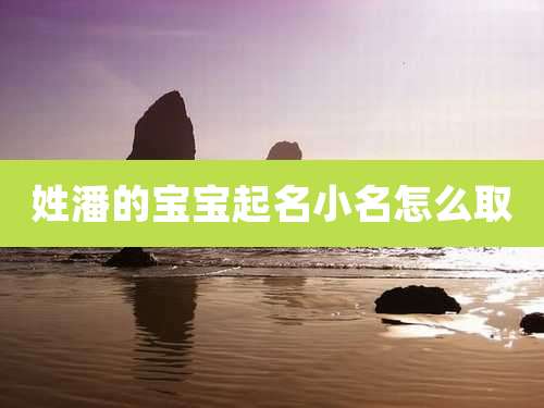 姓潘的宝宝起名小名怎么取
