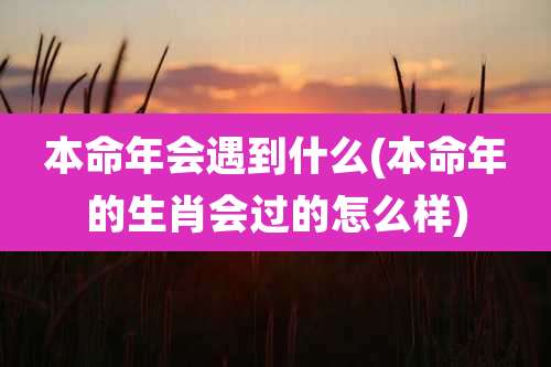 本命年会遇到什么(本命年的生肖会过的怎么样)