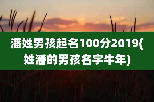 潘姓男孩起名100分2019(姓潘的男孩名字牛年)