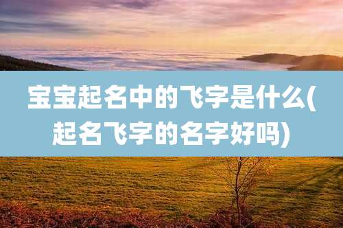 宝宝起名中的飞字是什么(起名飞字的名字好吗)