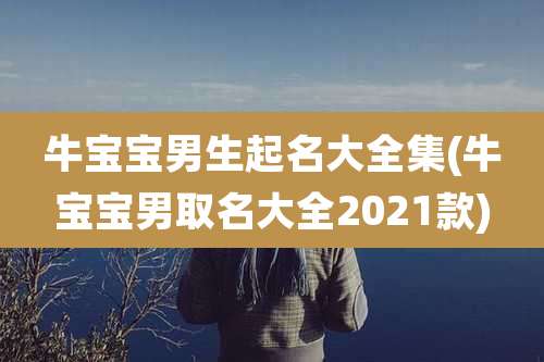 牛宝宝男生起名大全集(牛宝宝男取名大全2021款)
