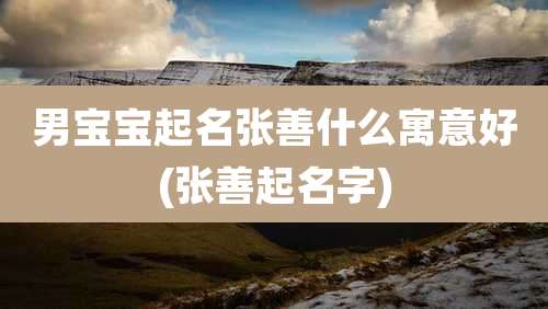 男宝宝起名张善什么寓意好(张善起名字)