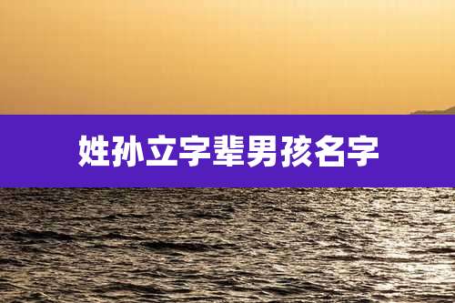 姓孙立字辈男孩名字