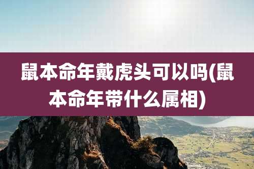 鼠本命年戴虎头可以吗(鼠本命年带什么属相)