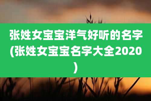 张姓女宝宝洋气好听的名字(张姓女宝宝名字大全2020)