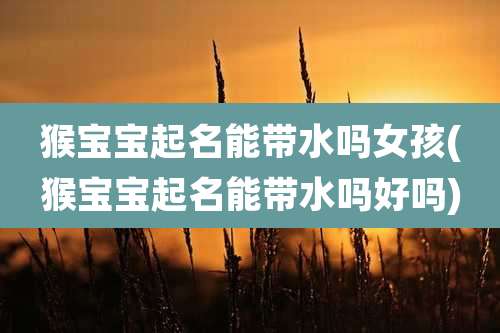 猴宝宝起名能带水吗女孩(猴宝宝起名能带水吗好吗)